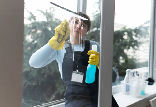 Nettoyage de vitres intérieures et extérieures à Cronat